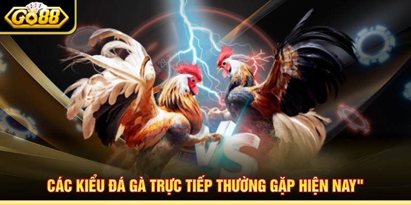 Các kiểu đá gà trực tiếp thường gặp hiện nay