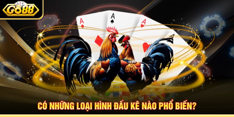 Có những loại hình đấu kê nào phổ biến?