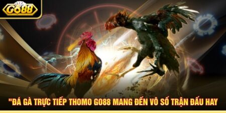 Đá Gà Trực Tiếp Thomo Go88 Mang Đến Vô Số Trận Đấu Hay