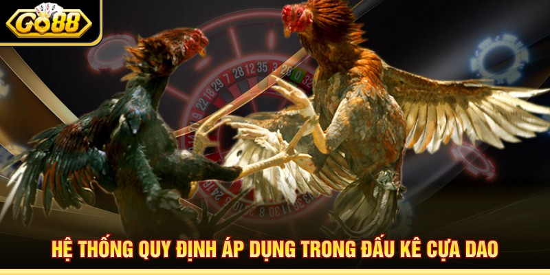 Hệ thống quy định áp dụng trong đấu kê cựa dao
