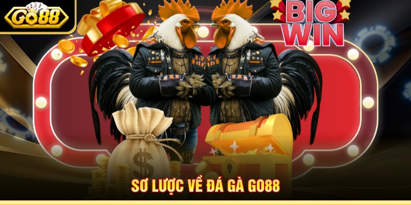 Sơ lược về đá gà Go88