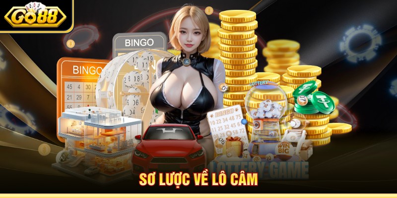 Sơ lược về lô câm